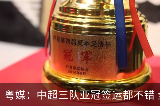 粤媒：中超三队亚冠签运都不错 全力出战能出线